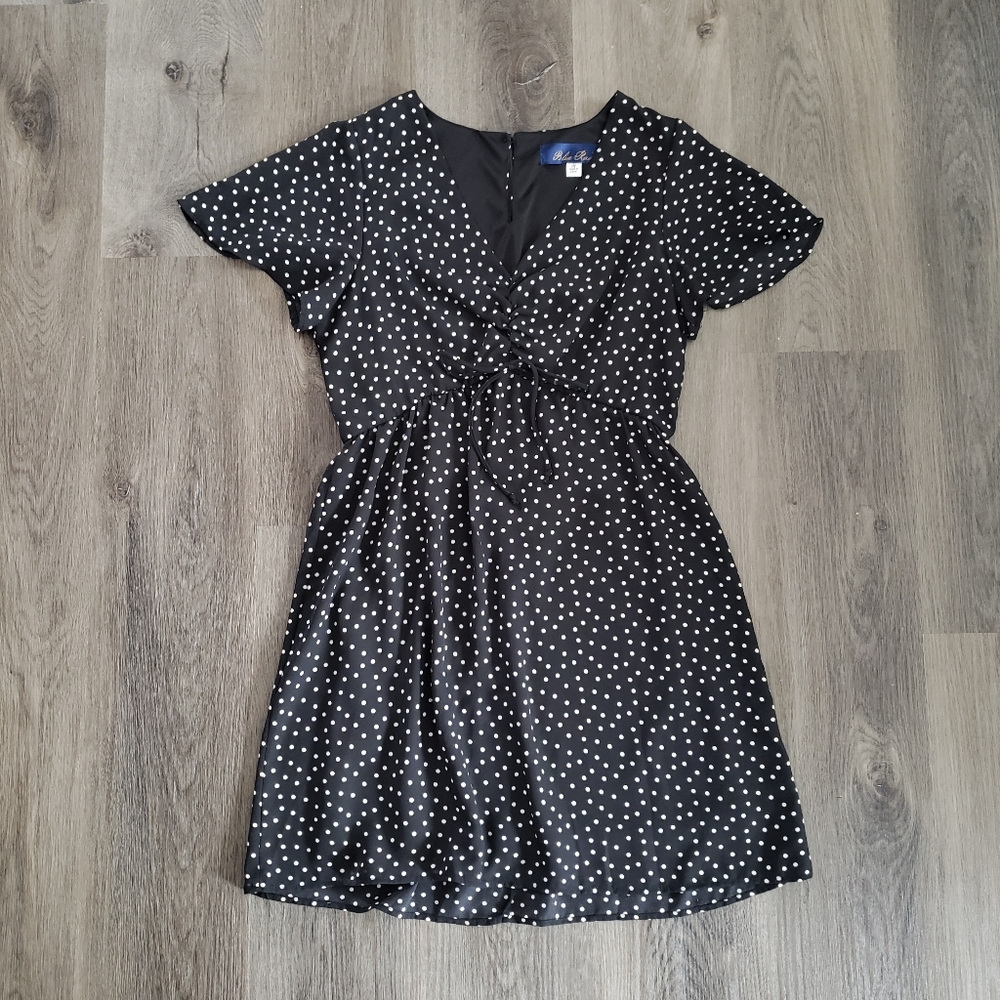 Francesca’s Black and White Polka Dot Skater Dress